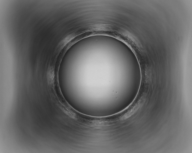 X0000113581065200909181303