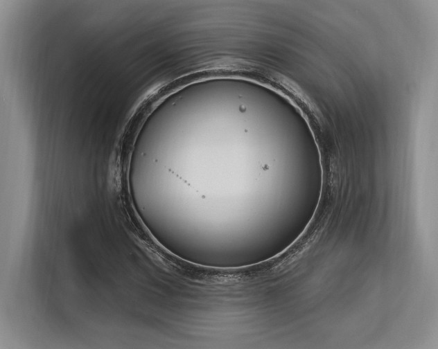 X0000113581067200909181302