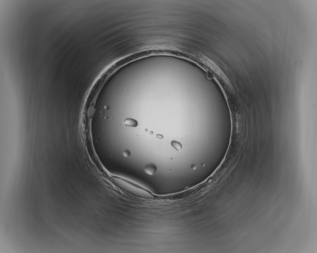 X0000113581068200909181302