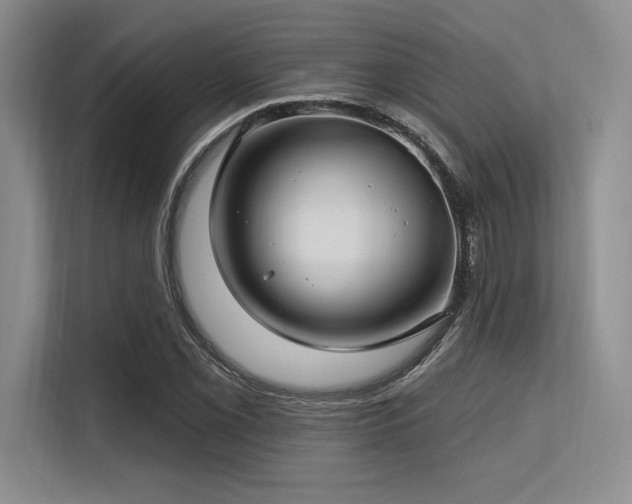 X0000113581069200909181302