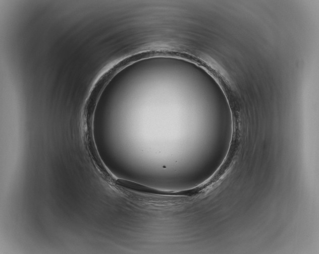 X0000113581070200909181302
