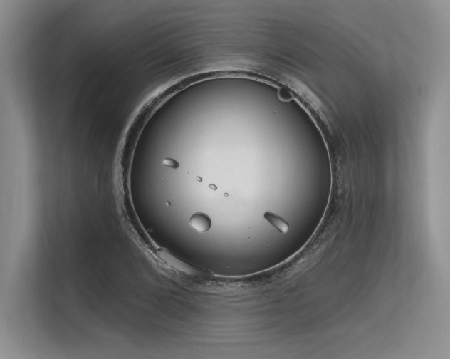 X0000113581072200909181302