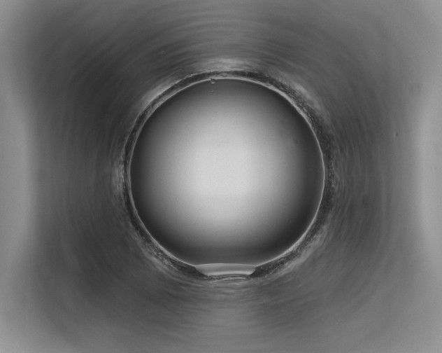 X0000113581073200909181302