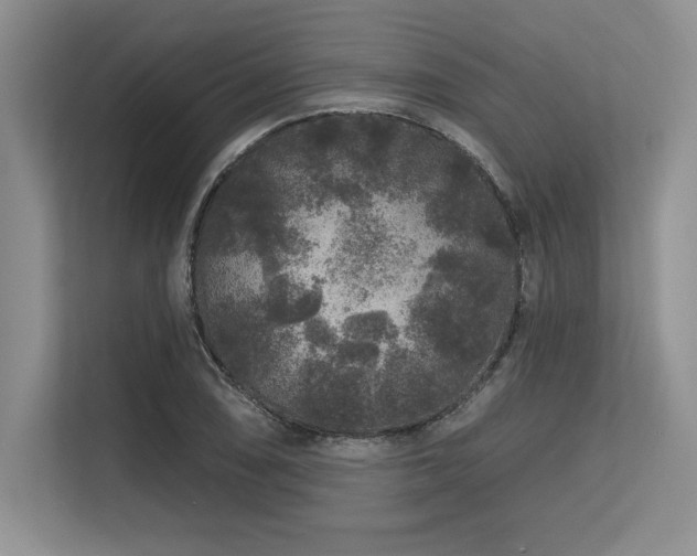 X0000113581074200909181302