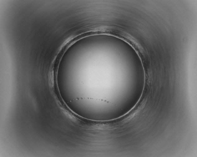 X0000113581075200909181302
