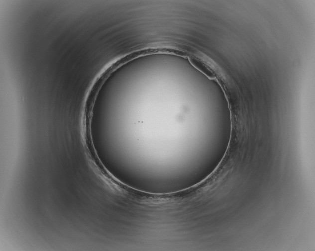 X0000113581076200909181302