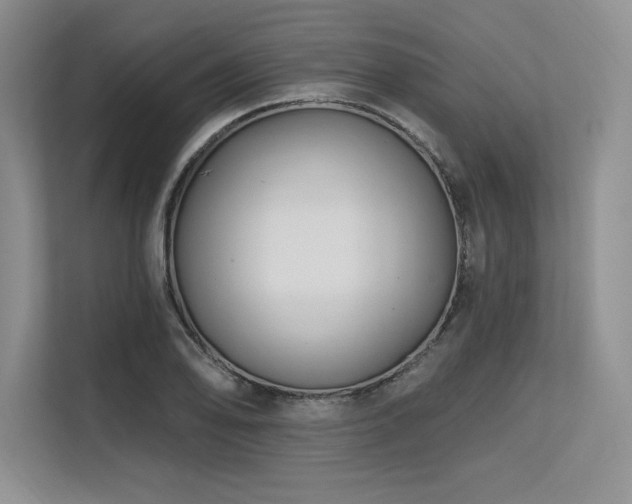 X0000113581078200909181302