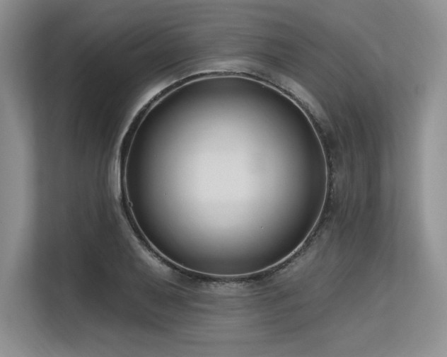X0000113581079200909181302