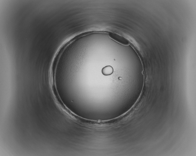 X0000113581080200909181302