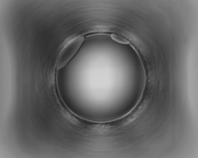 X0000113581081200909181302