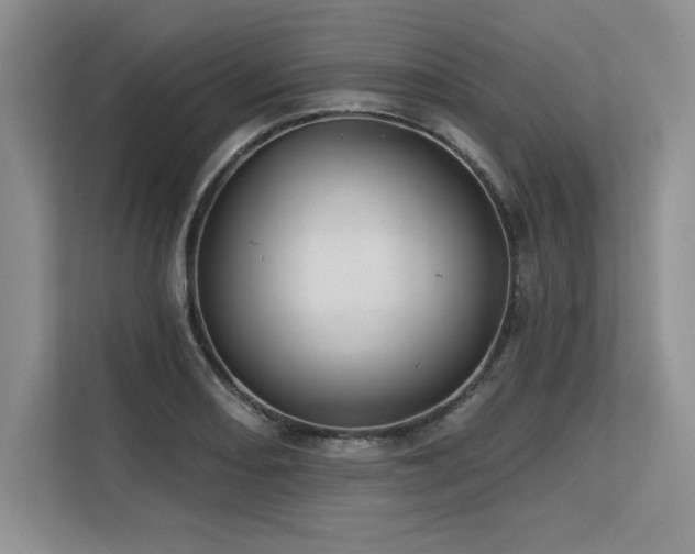 X0000113581082200909181302