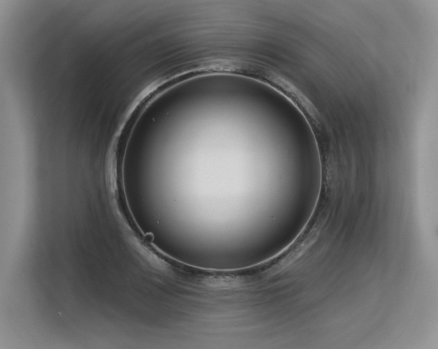 X0000113581083200909181302