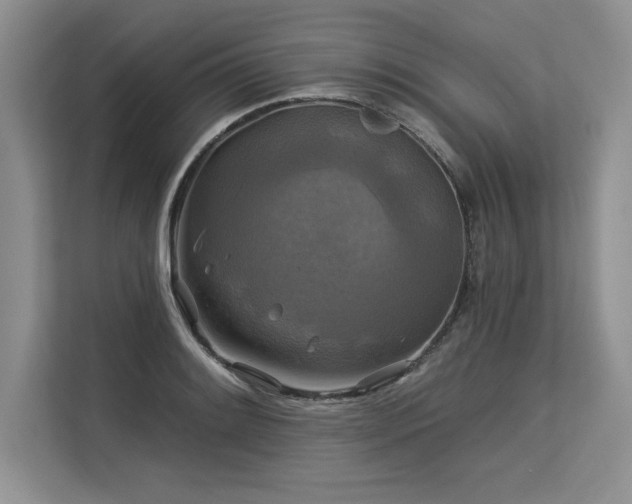 X0000113581084200909181302