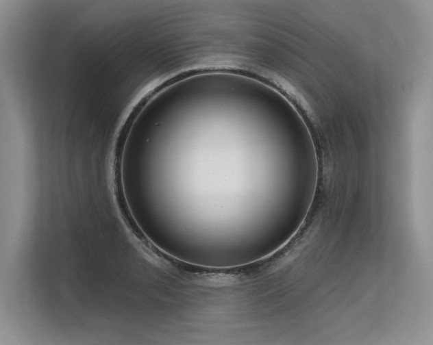 X0000113581085200909181302