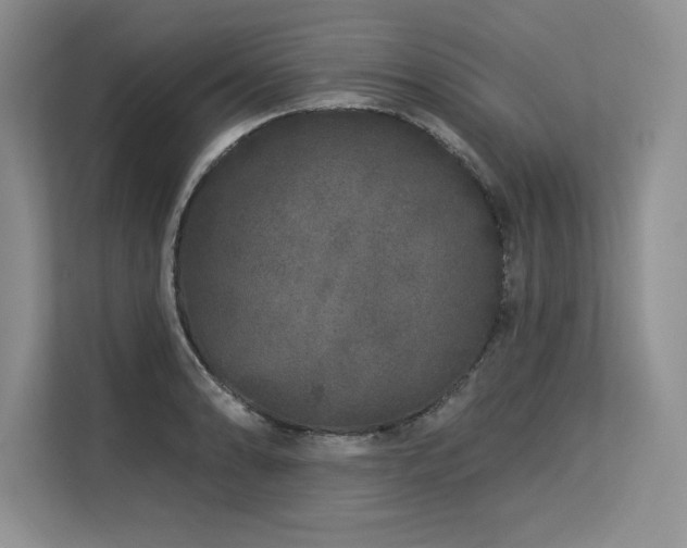 X0000113581086200909181302