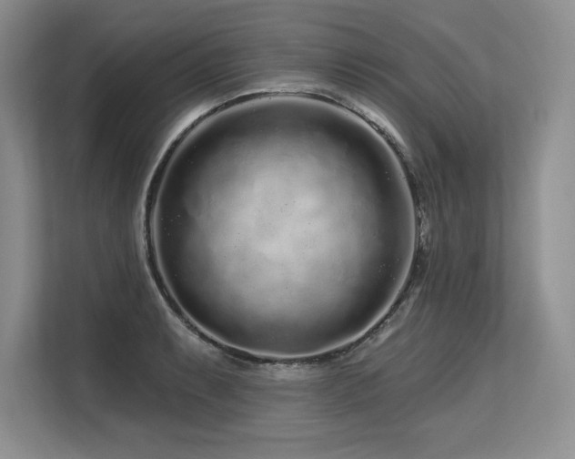 X0000113581087200909181302