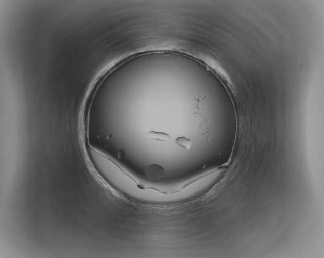 X0000113581088200909181302