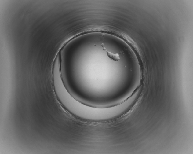 X0000113581089200909181302