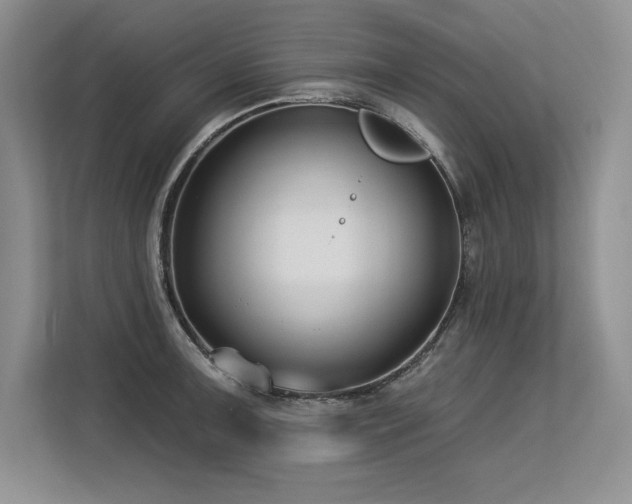 X0000113581091200909181302