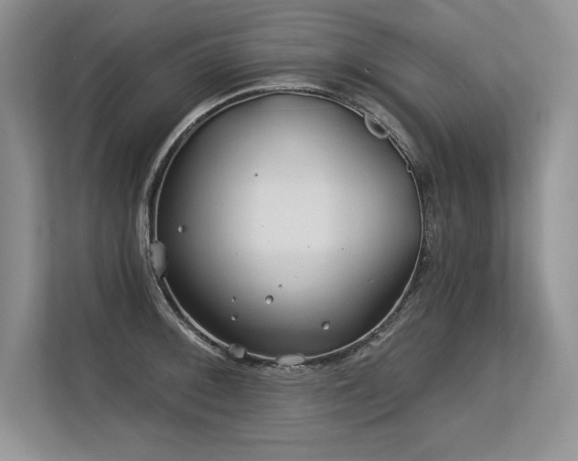 X0000113581092200909181302