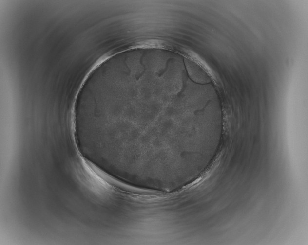 X0000113581095200909181302