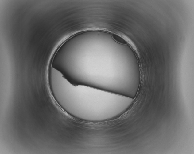 X0000113581096200909181302