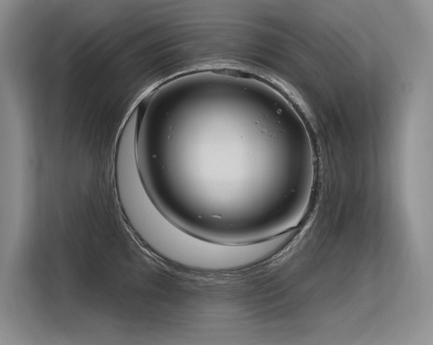 X0000113581097200909181302