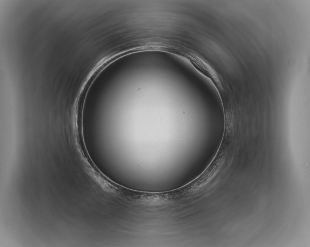 X0000113581099200909181302