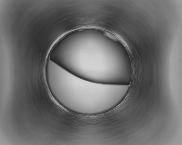 X0000113581100200909181302