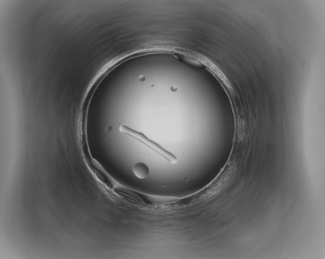 X0000113581101200909181302
