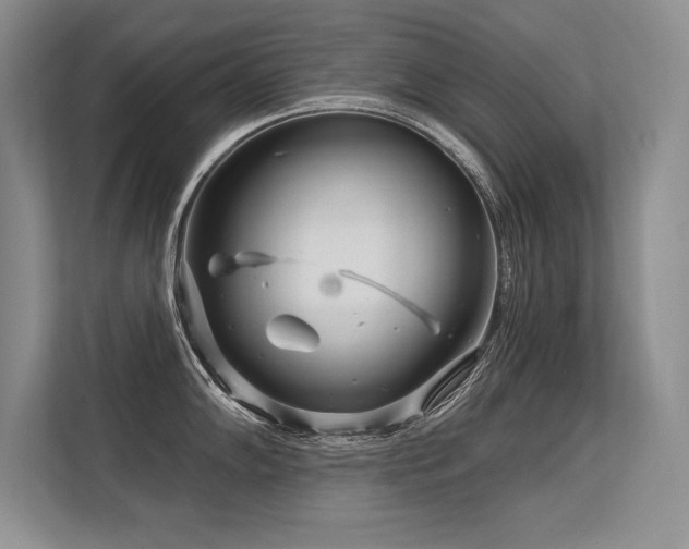 X0000113581102200909181302