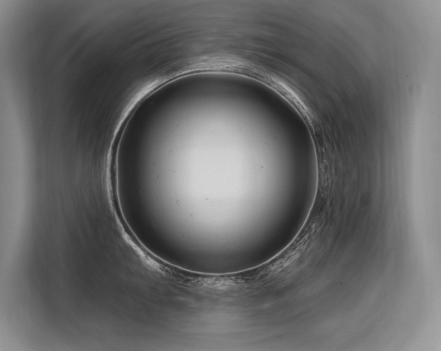 X0000113581103200909181302