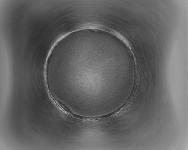 X0000113581104200909181302
