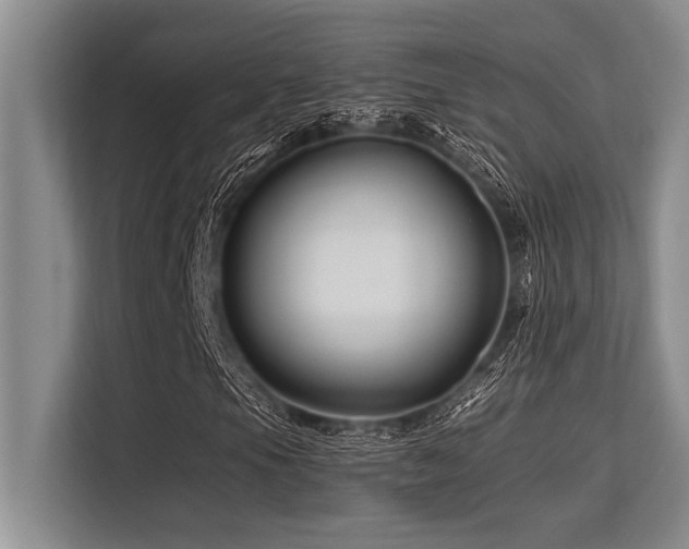 X0000113581105200909181301