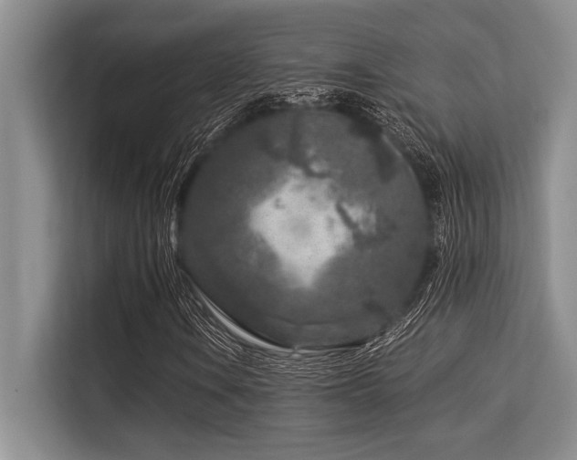X0000113581106200909181301