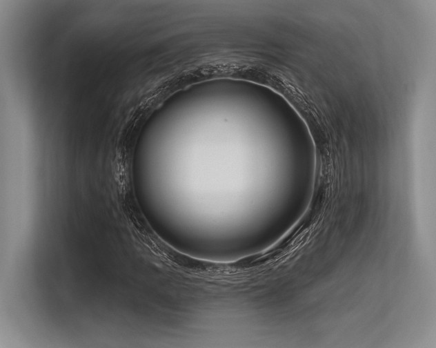 X0000113581109200909181301