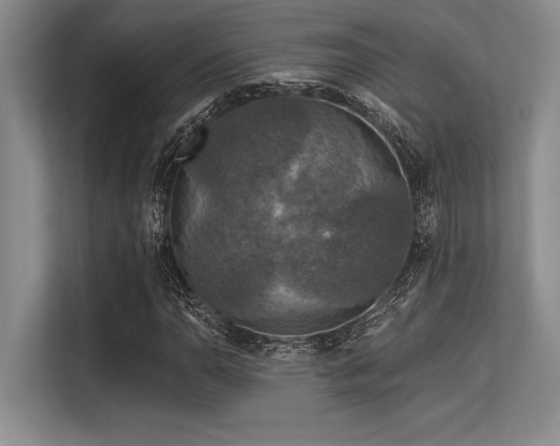 X0000113581110200909181301