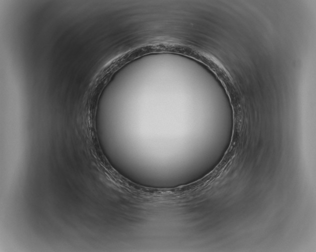 X0000113581112200909181301