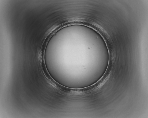 X0000113581113200909181301