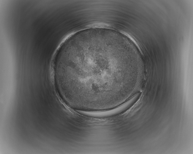 X0000113581115200909181302