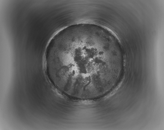 X0000113581117200909181302