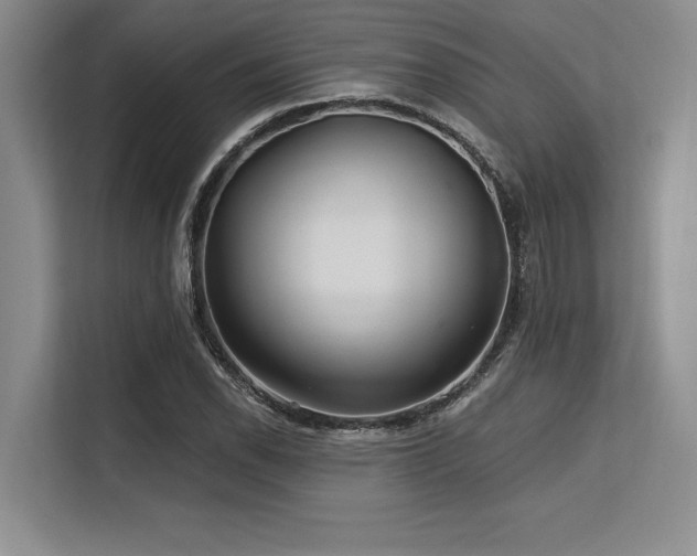 X0000113581118200909181302