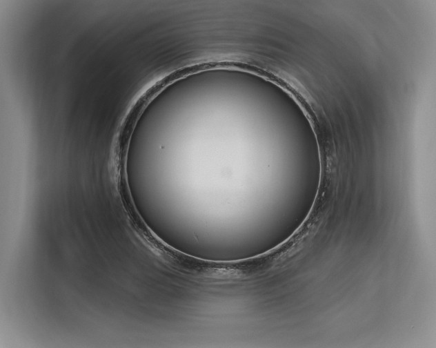 X0000113581119200909181302