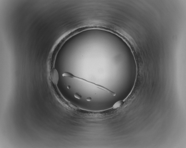 X0000113581120200909181302