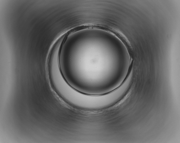 X0000113581122200909181302
