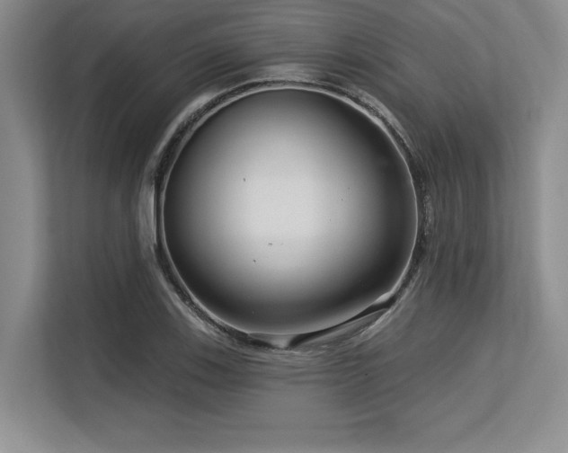 X0000113581123200909181302