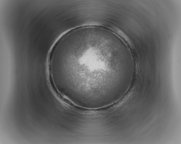 X0000113581124200909181302