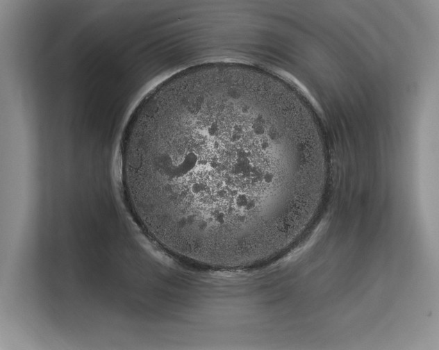 X0000113581125200909181302