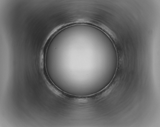X0000113581126200909181302