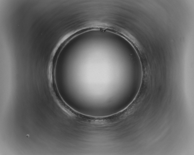 X0000113581128200909181302